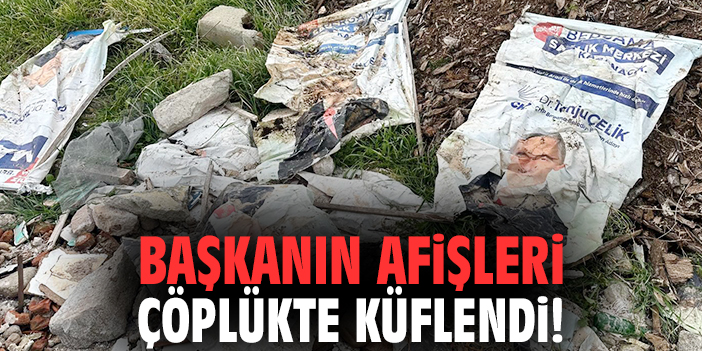 Bergama’da Çevre Krizi: Başkan Eleştirildi!