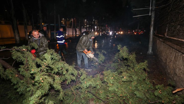 Buca Belediyesi ekiplerinin fırtına ve yağış mesaisi