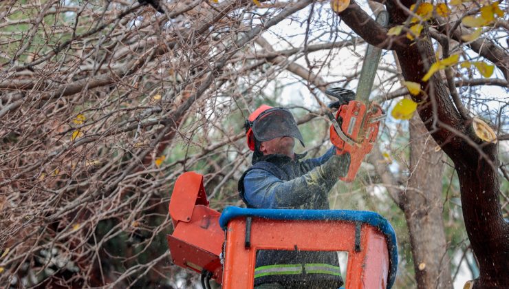 Öğrenciler tatilde, Konak Belediyesi ekipleri iş başında