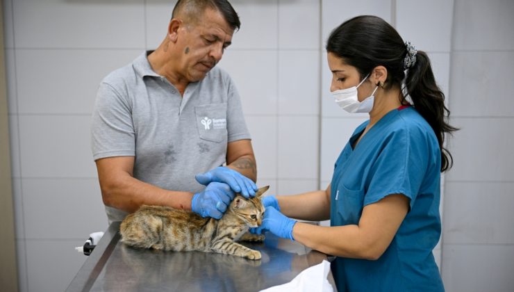 Eros Kedi Kliniği Bornova’da umut merkezi oldu