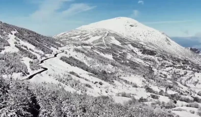 Ödemiş’te Kış Manzarası: Beyaz Ormanlar!