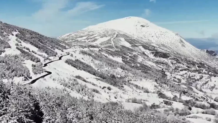 Ödemiş’te Kış Manzarası: Beyaz Ormanlar!