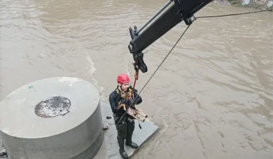 İzmir’de İtfaiye, Mahsur Köpeği Kurtardı!
