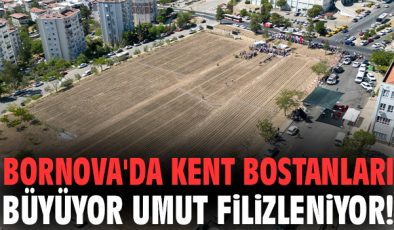 Doğanlar Kent Bostanı Açılıyor: Kadınlar İçin Fırsat!