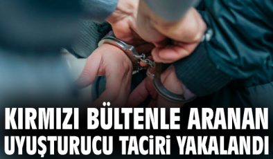 Tekirdağ’da Uyuşturucu Operasyonu: 195 Gözaltı!