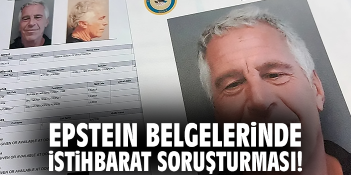 Polonya, Epstein Bağlantılarını Araştıracak