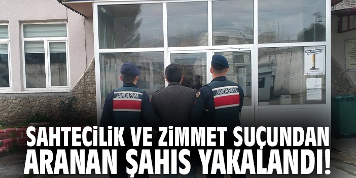 Hapis Cezası Olan Şahıs Jandarma Tarafından Yakalandı