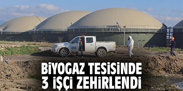 Suluova’da Biyogaz Tesisinde Zehirlenme Vakası!