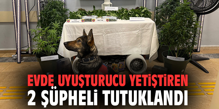 Yalova’da Uyuşturucu Operasyonu: İki Kişi Tutuklandı!