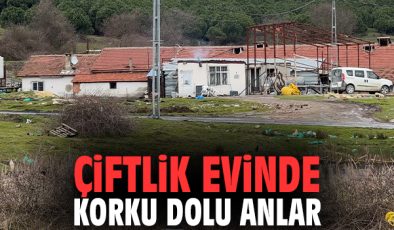 Çiftlikte Alkol Kavgası: Testereyle Saldırı!