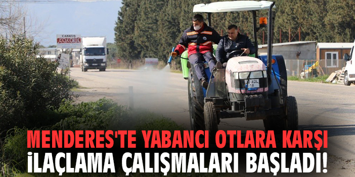 Menderes’te Yabancı Otlarla Mücadele Başladı!