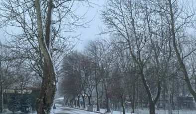 İzmir Yüksek Kesimlerine Gece Kar Yağdı!