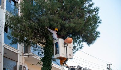 Karşıyaka’da budama seferberliği: Ağaçlar bahara hazırlanıyor