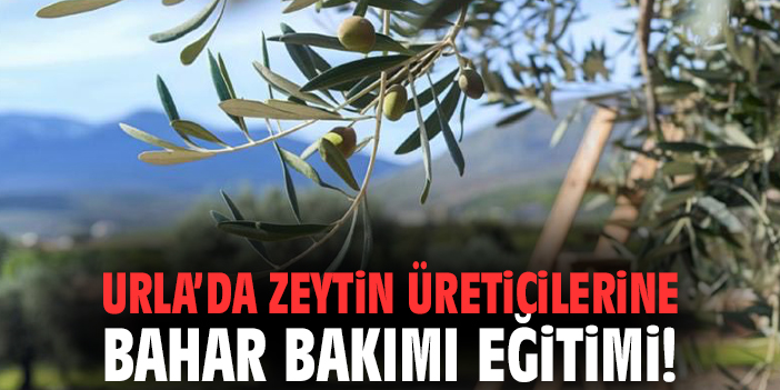 Urla’da Zeytin Ağaçları İçin Eğitim Programı!