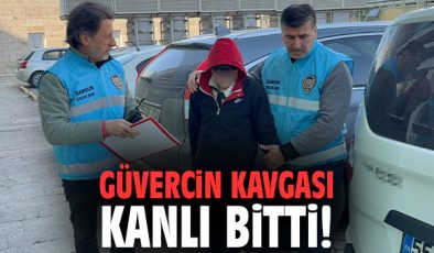 Güvercin Kavgası: 14 Yaşındaki Çocuk Tutuklandı